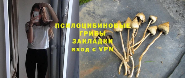 эйфоретик Коряжма