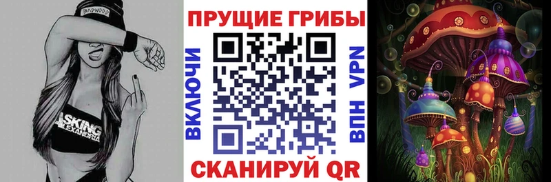 Псилоцибиновые грибы Psilocybine cubensis  Купить закладки  Ухта 